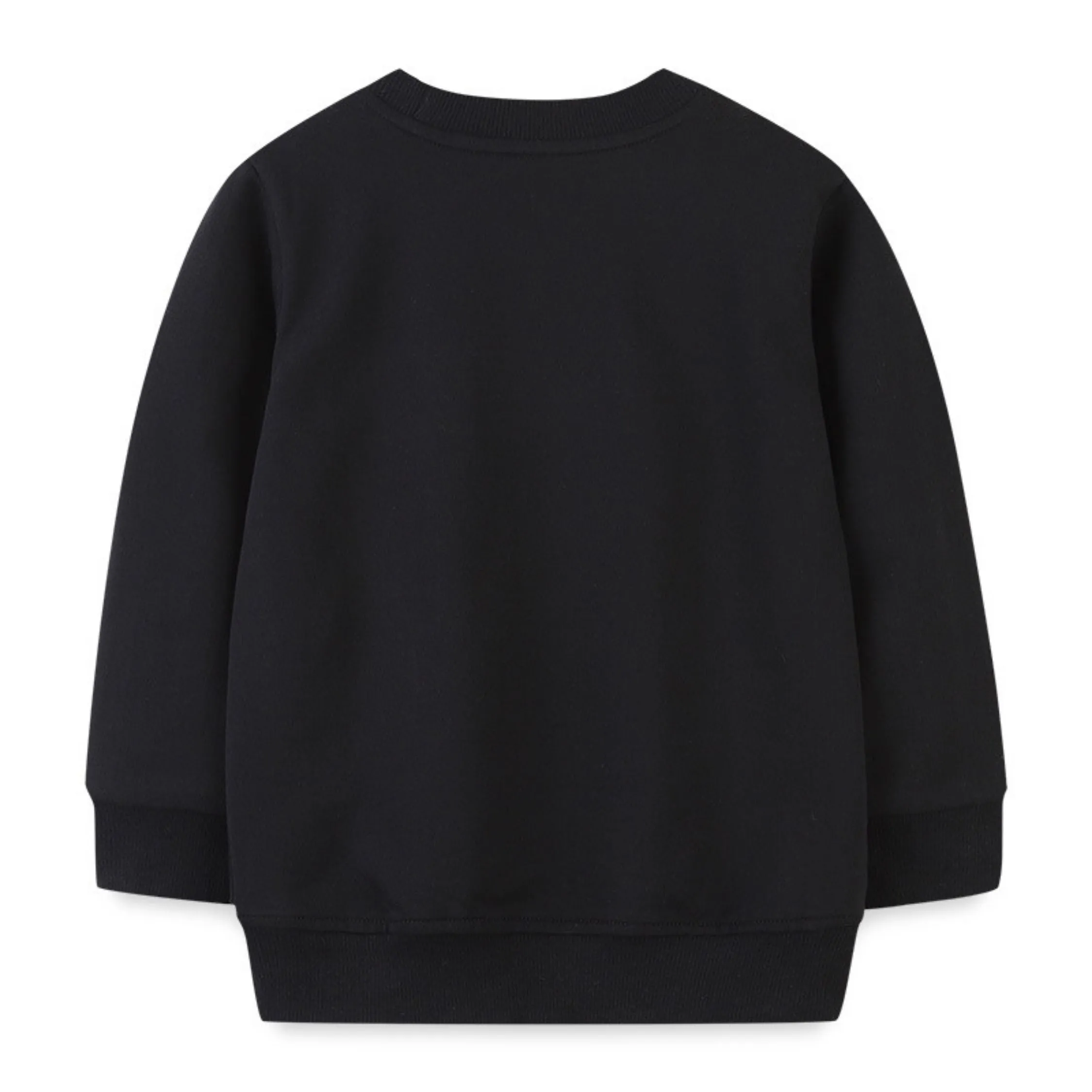 Coloured Dino Round Neck Sweat Shirt ,Black